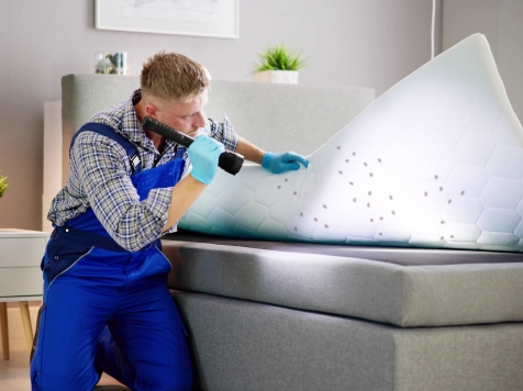 bed bug Residential, Office, Commercial treatment dubai