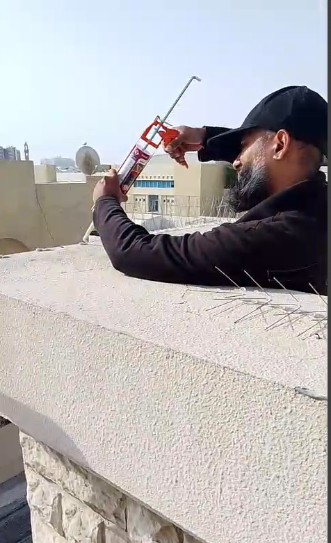 Birds control services in Dubai