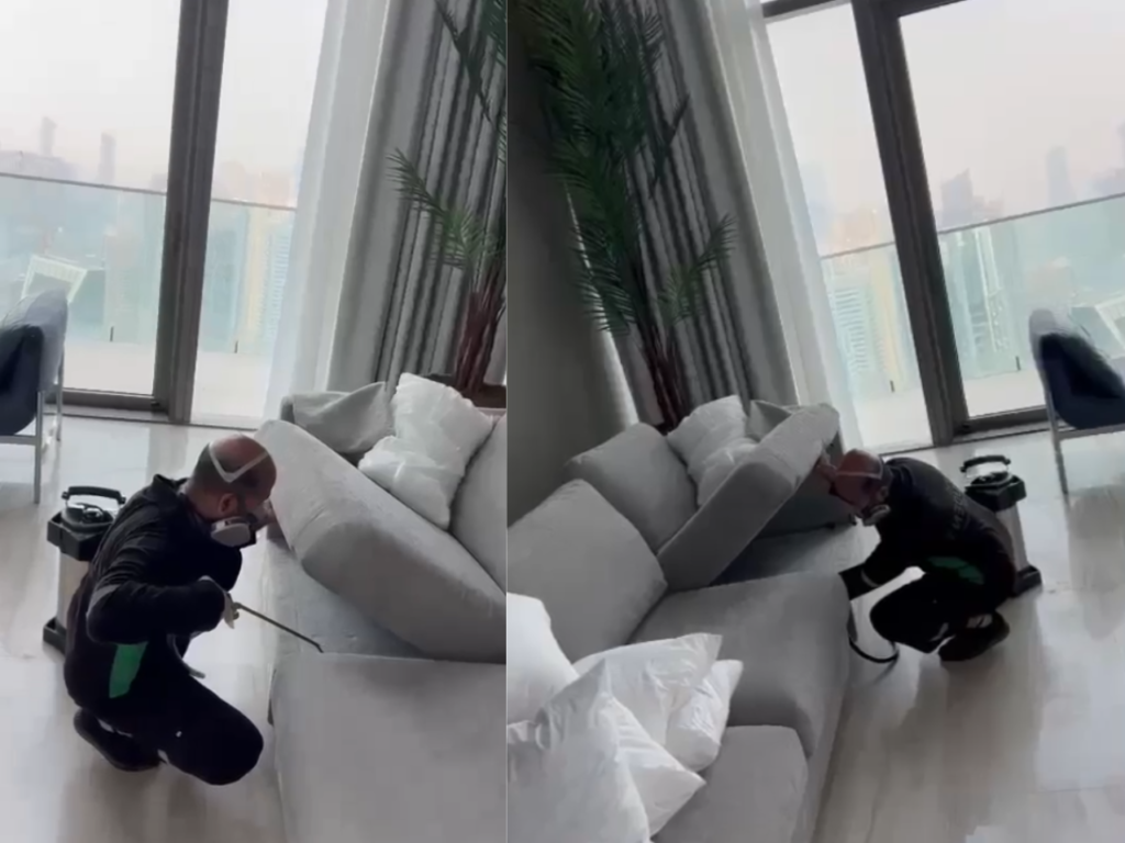 Dust mite services in dubai