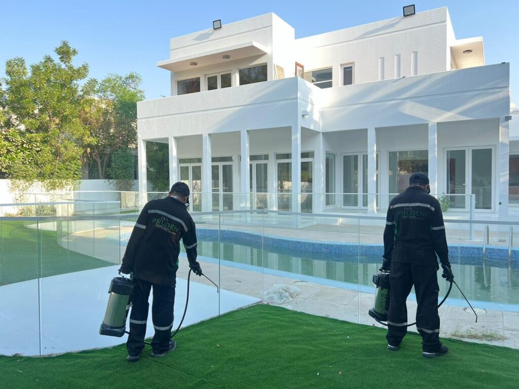 Pest control services in dubai