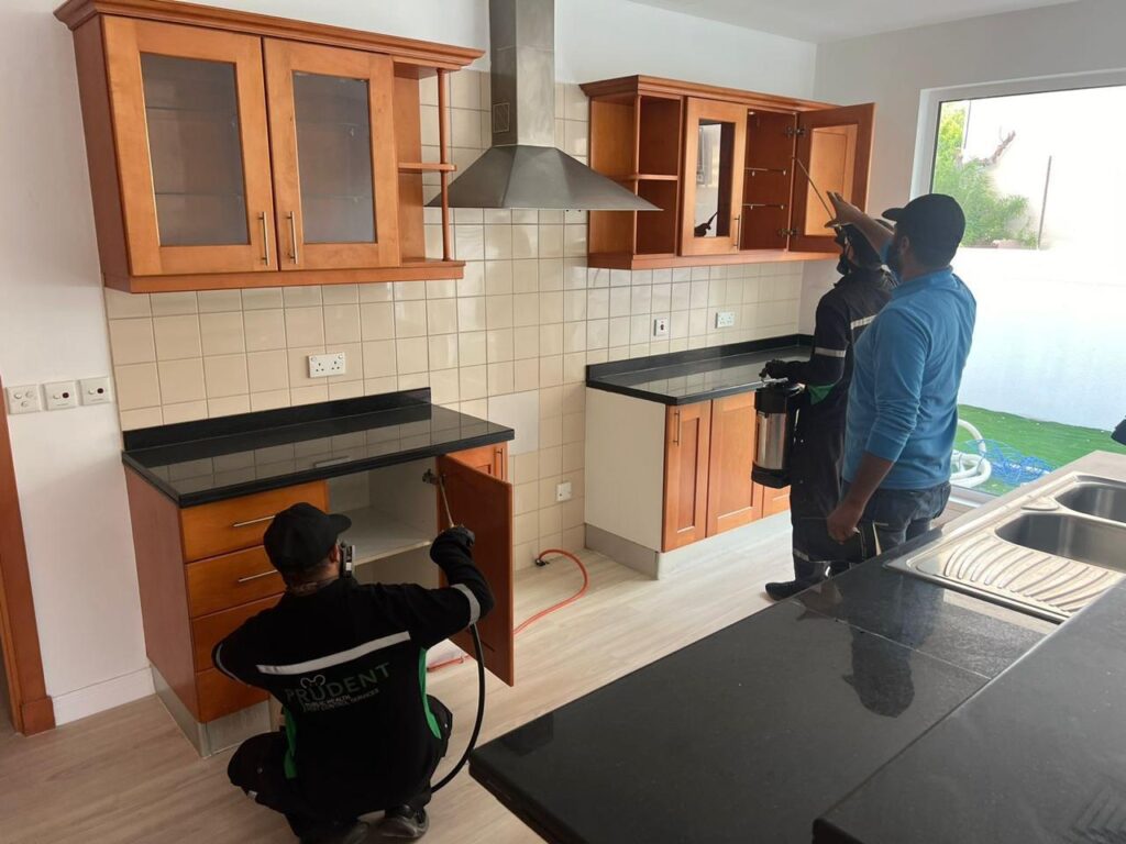 Pest control services in Dubai