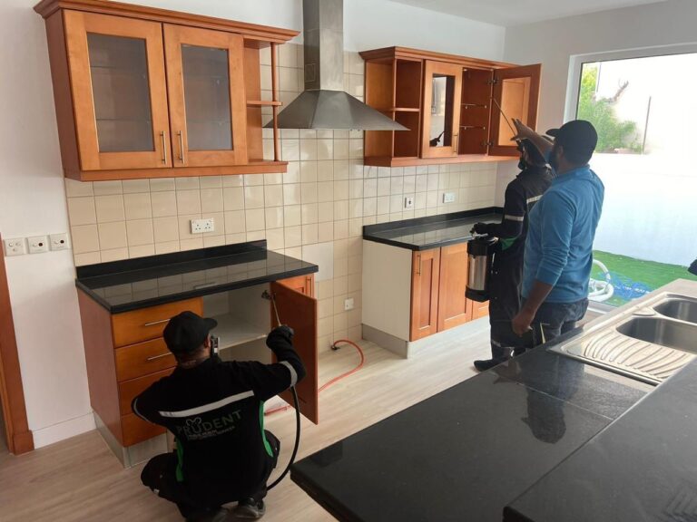 pest control services Dubai